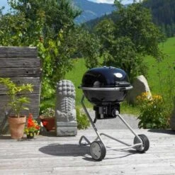 Barbecue Charbon Air F60 - Rosle* -Barbecue Promotion Boutique barbecue charbon rosle f60 4004293250063 6