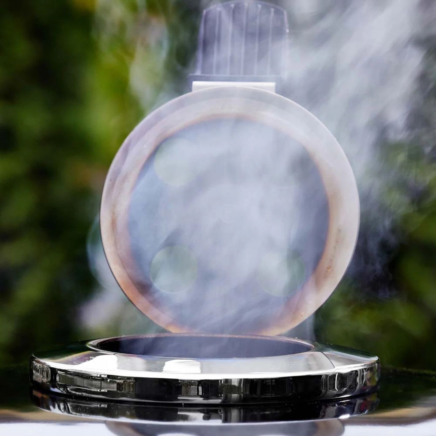 Barbecue Kamado Summit S6 - Weber 6 Barbecue Kamado Summit S6 - Weber – Image 6