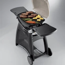 Grille De Cuisson Fonte émaillée Q300/Q3000 - Weber 7 Grille De Cuisson Fonte émaillée Q300/Q3000 - Weber -Barbecue Promotion Boutique grille de cuisson pour q300 barbecue a gaz weber 0077924038853 3